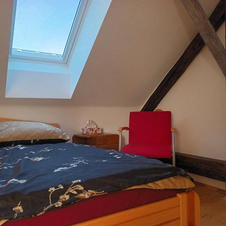 Za Vodou Guest House Moravská Nová Ves Bagian luar foto
