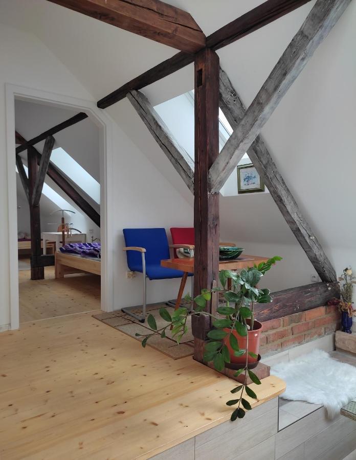 Za Vodou Guest House Moravská Nová Ves Bagian luar foto