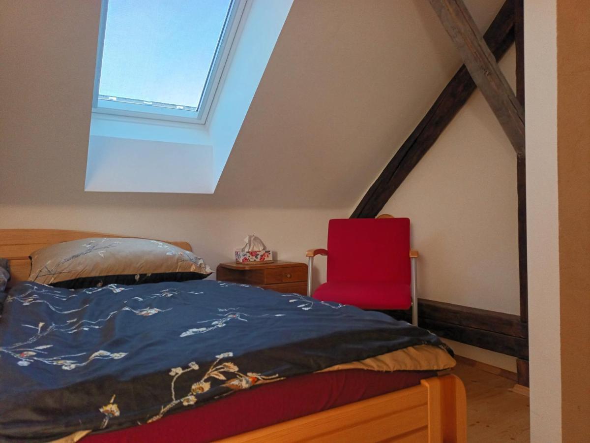 Za Vodou Guest House Moravská Nová Ves Bagian luar foto