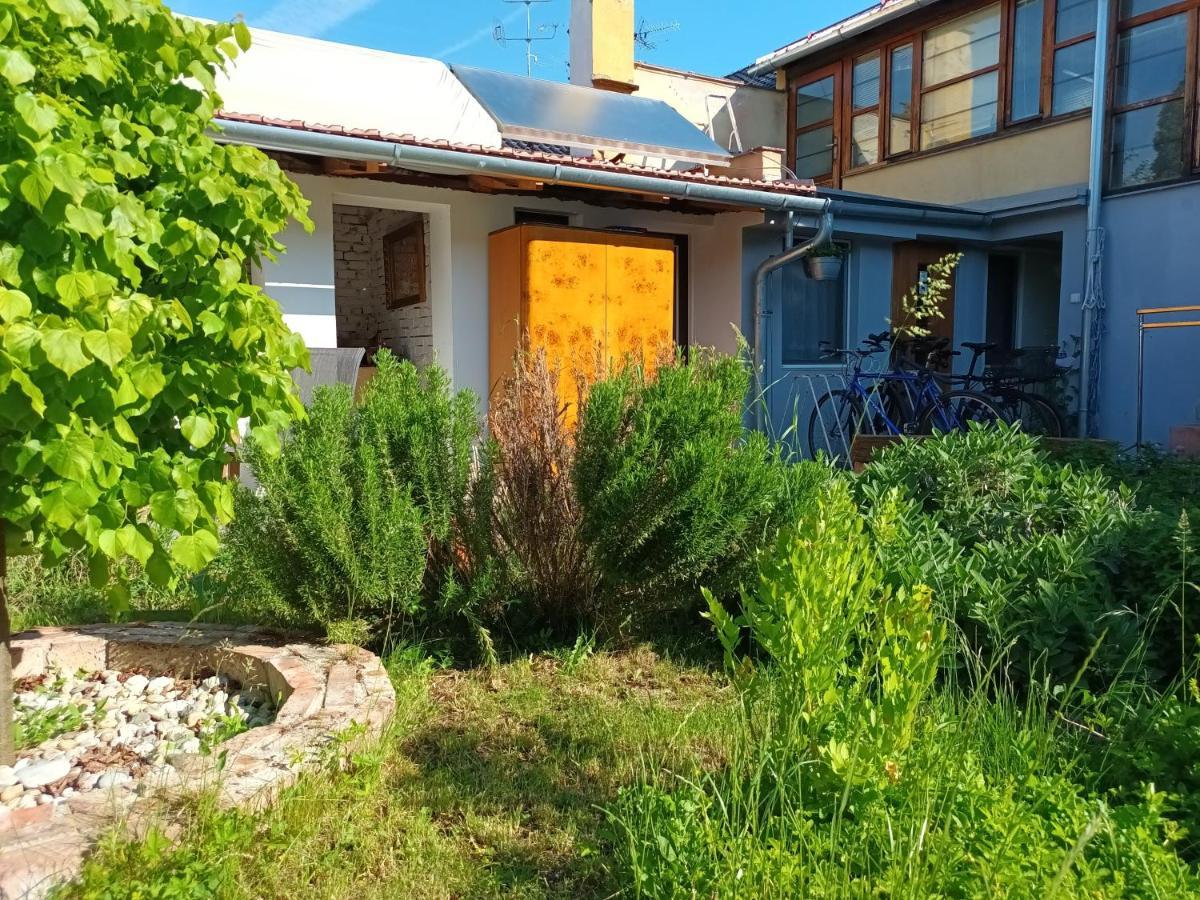 Za Vodou Guest House Moravská Nová Ves Bagian luar foto