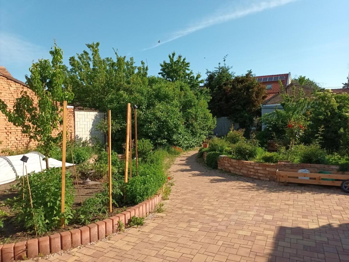 Za Vodou Guest House Moravská Nová Ves Bagian luar foto