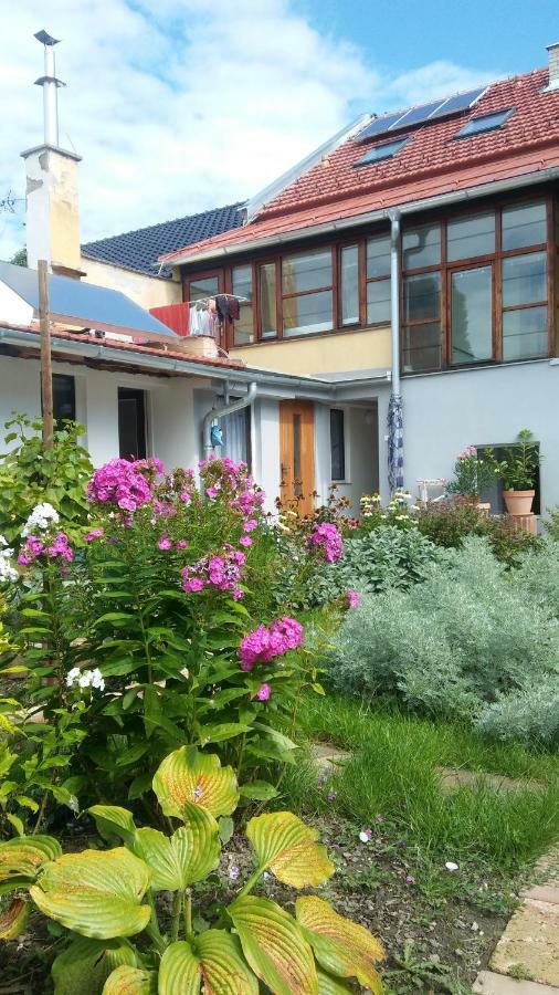 Za Vodou Guest House Moravská Nová Ves Bagian luar foto