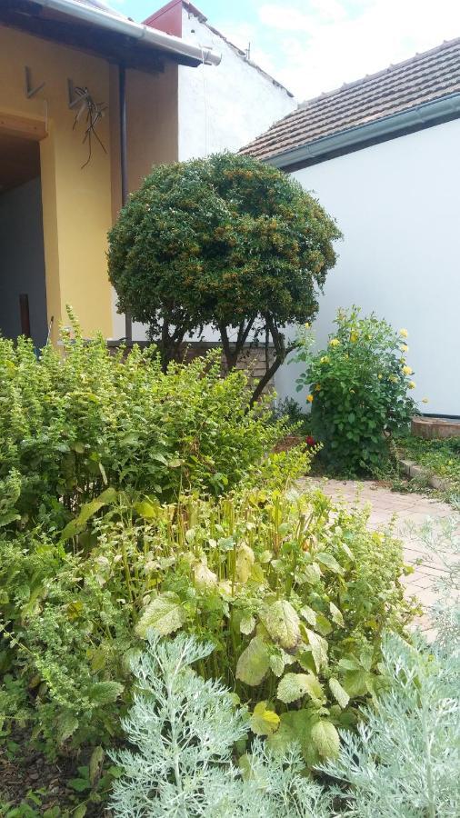 Za Vodou Guest House Moravská Nová Ves Bagian luar foto