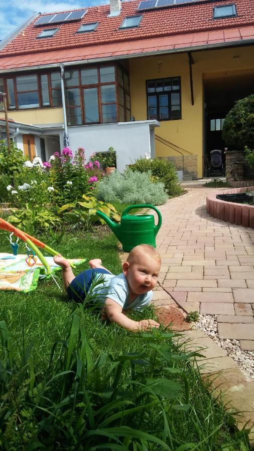 Za Vodou Guest House Moravská Nová Ves Bagian luar foto